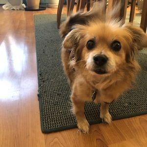 Meet your Posher, Zoe